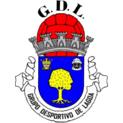 Grupo Desportivo de Lagoa